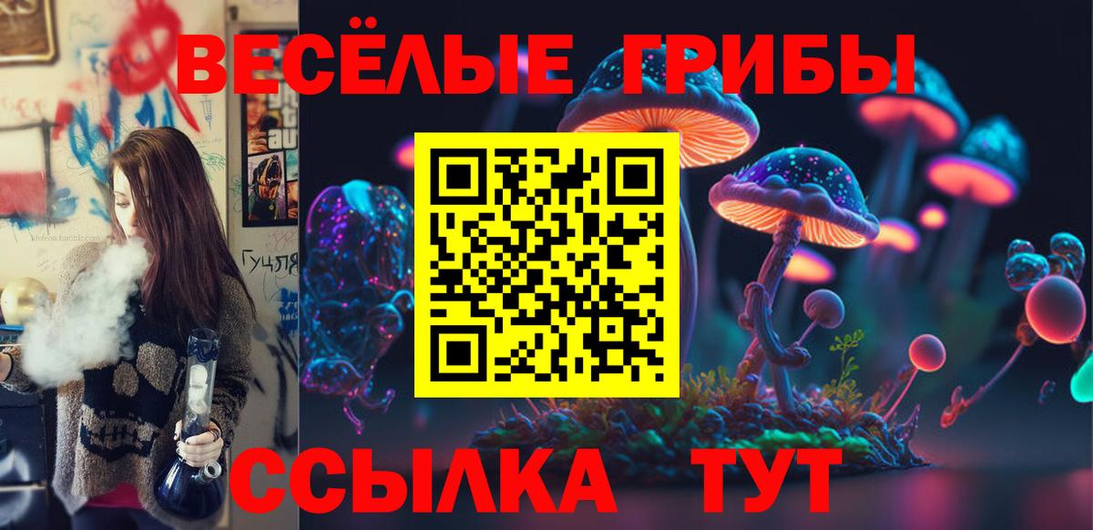 Псилоцибиновые грибы GOLDEN TEACHER Кандалакша